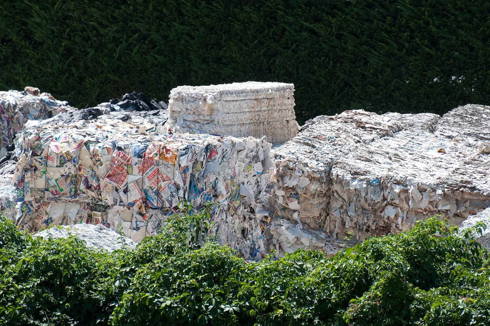 Paper collected for recycling